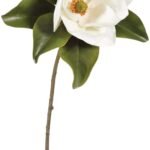 Real Touch Large Magnolia Bloom 29 Single Stem or Bundle of 3
