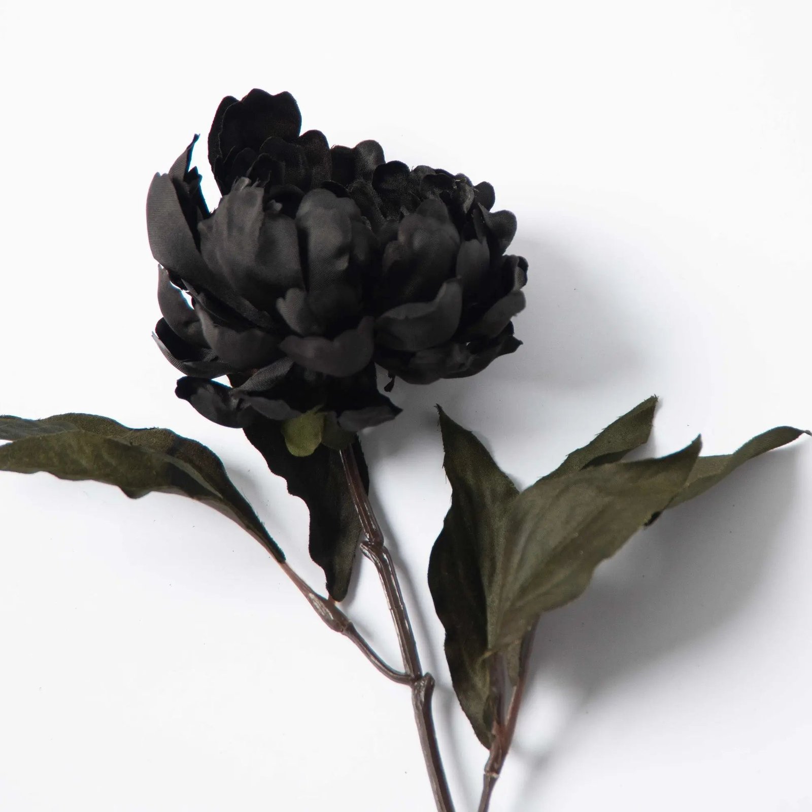 FLWSTM1060-PEON-BLKBlackFauxFloralBloomingPeonyStem-18_1 Black Magic Peony Bloom Faux Floral Stem Halloween Decor - 18 - Image 1