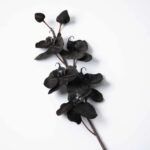 Black Faux Floral Phalaenopsis Orchid Multi-Bloom & Bud Stem - 29