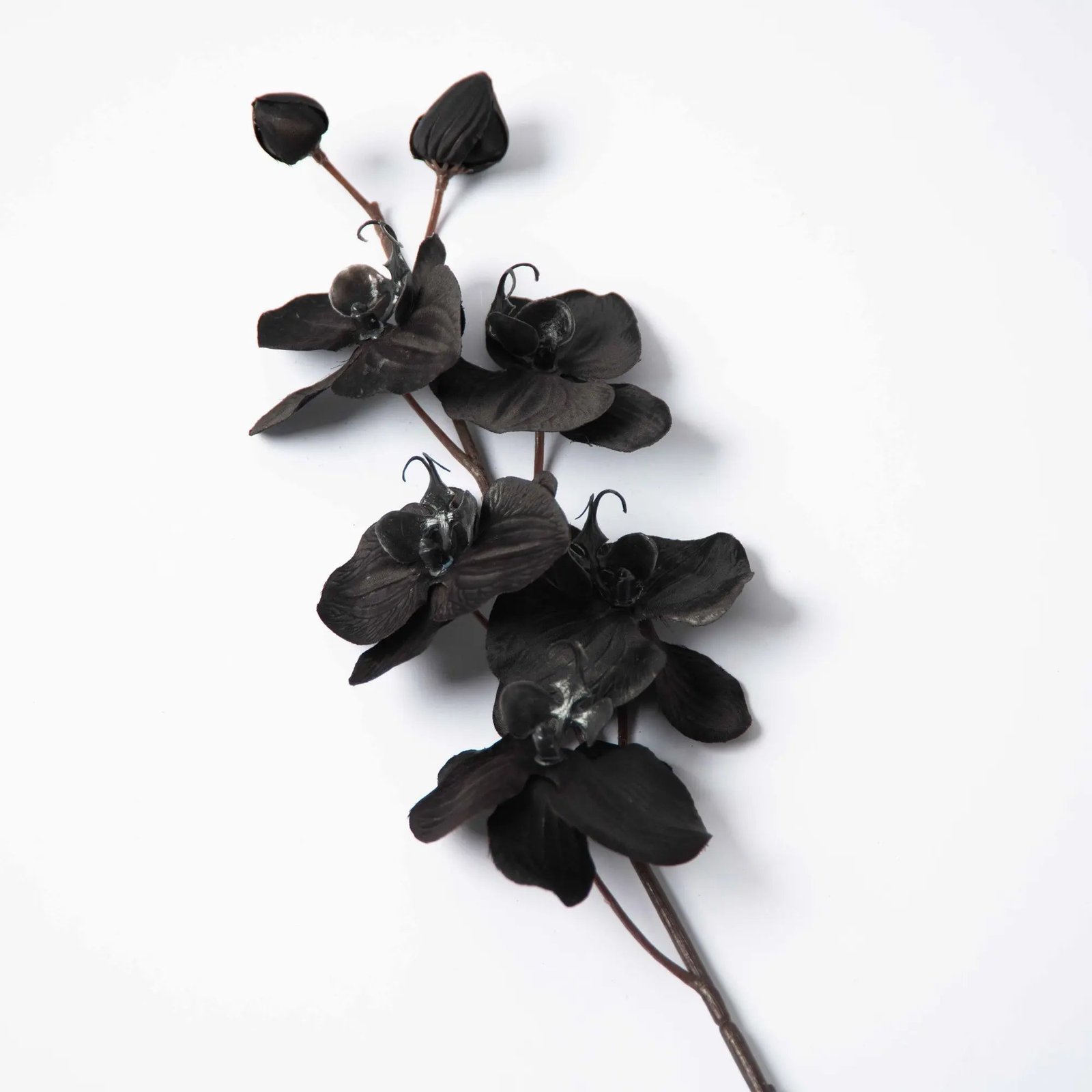 FLWSTM1061-ORCH-BLKBlackFauxFloralPhalaenopsisOrchidMulti-Bloom_Bud Black Faux Floral Phalaenopsis Orchid Multi-Bloom & Bud Stem - 29 - Image 1
