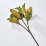 Real Touch Large Magnolia Bud Large Branch Stem 31 - Image 3