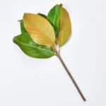 Real Touch Classic Magnolia Leaf Pick Stem - 14 - Image 2