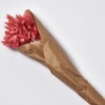 Naturally Dried & Farm Dyed Bright Pink Bunny Tail Stem Bundle Bouquet - Image 2