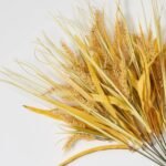 Blonde Triticum Faux Wheat Grass Bush   - 22 - Image 2