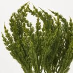 Bright Green Faux Briar Pine Bush Spray - 17 - Image 2