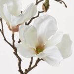 Cream White Magnolia Blossom & Bud Multiple Blooming Branch Stem Spray - 19 - Image 2