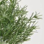 Green Rosemary Shoots Faux Evergreen Herb Bush Bouquet of 6 Stems - 18 - Image 2