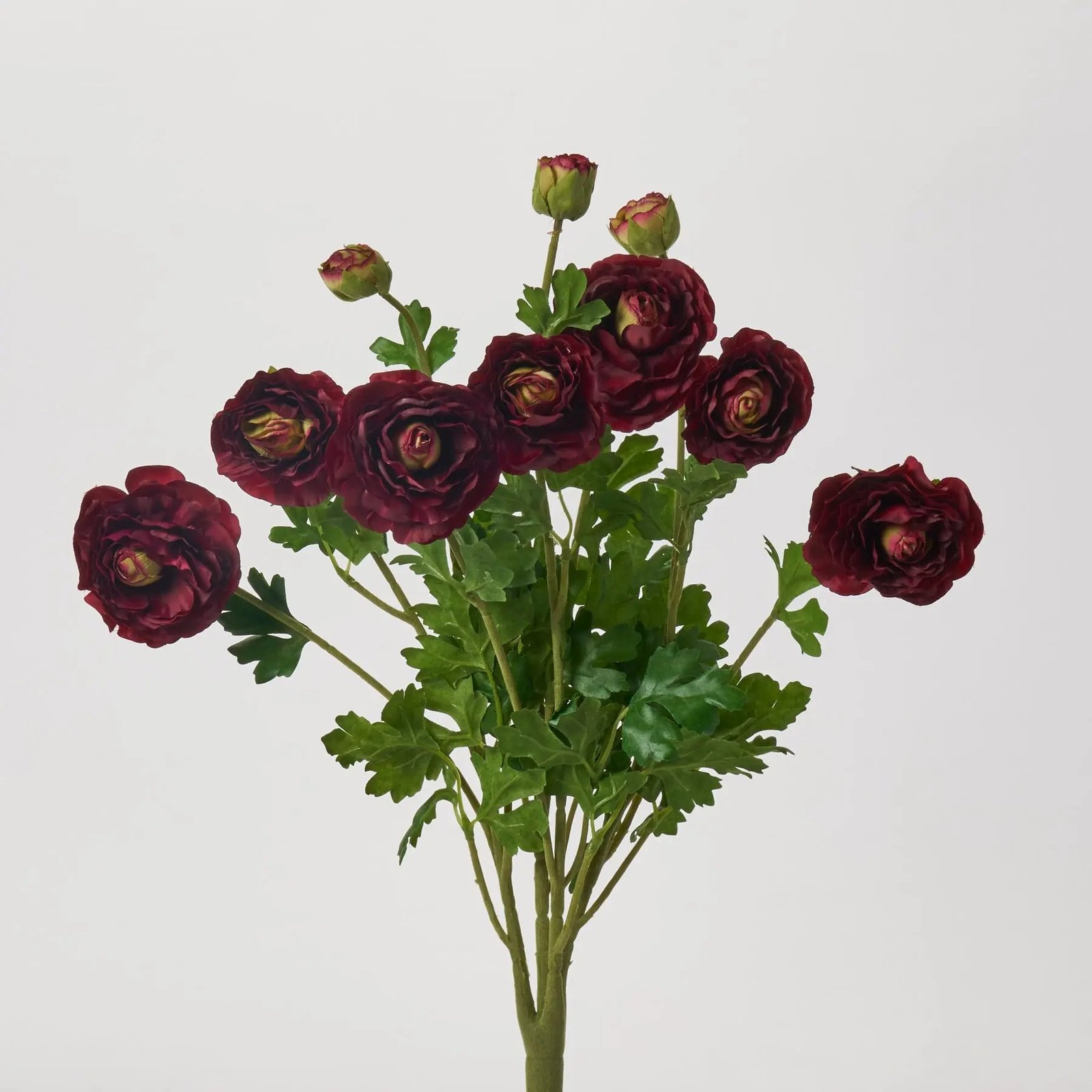 FLWSTM1719_2_BloomingDarkBurgundyPersianButter Blooming Dark Burgundy Persian Buttercup Ranunculus Bush Faux Floral Stem Bouquet - 19 - Image 1