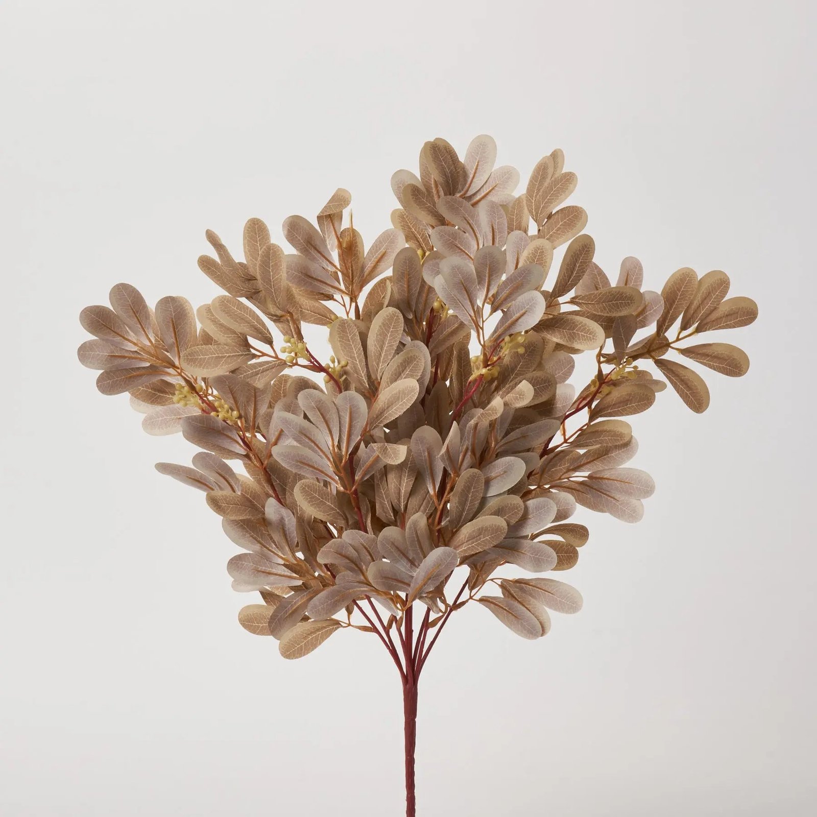 FLWSTM1861_1_TaupePrivetLeafAutumnFallFoliag Taupe Privet Leaf Autumn Fall Foliage Bush Bouquet - 19 - Image 1