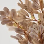 Taupe Privet Leaf Autumn Fall Foliage Bush Bouquet - 19 - Image 2