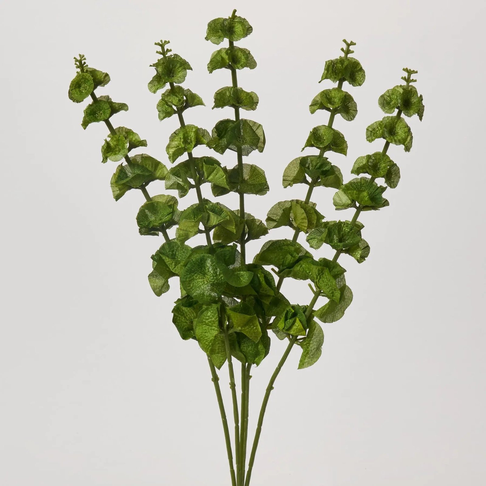 FLWSTM2367SeedingLushGreenBellsofIrelandBush Seeding Lush Green Bells of Ireland Bush Faux Floral Spray - 23 - Image 1