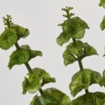 Seeding Lush Green Bells of Ireland Bush Faux Floral Spray - 23 - Image 2