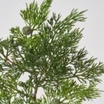Green Juniper Branch Spray Christmas Faux Greenery Stem  - 14 - Image 2