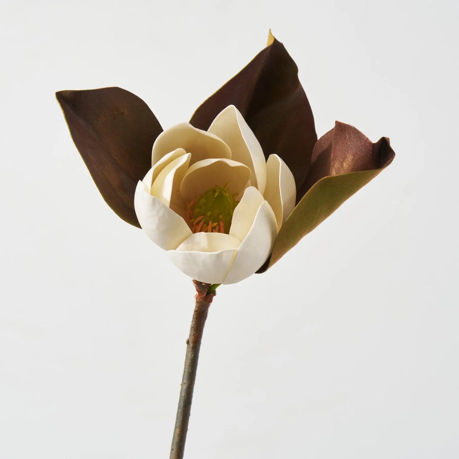 FLWSTM3281RealTouchFallBrownSmallMagnoliaBloom24SingleStemorBundleof3_1 Real Touch Fall Brown Small Magnolia Bloom 24 Single Stem or Bundle of 3 - Image 1