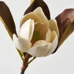 Real Touch Fall Brown Small Magnolia Bloom 24 Single Stem or Bundle of 3 - Image 2