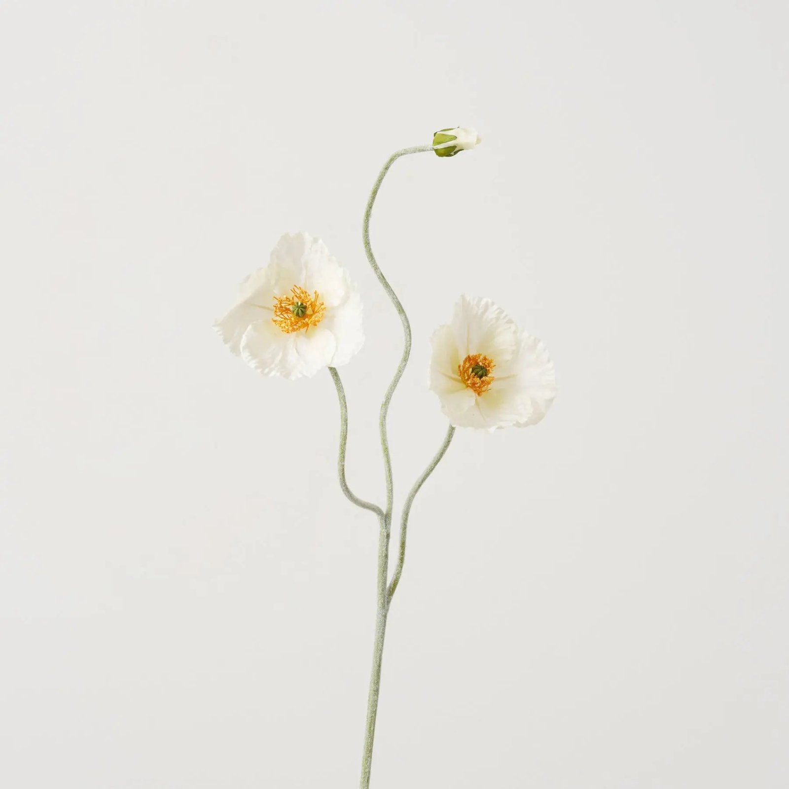 FLWSTM3316WhitePoppyBloom_BudFauxFloralStemSpray-37_1 White Poppy Bloom & Bud Faux Floral Stem Spray - 37 - Image 1