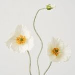 White Poppy Bloom & Bud Faux Floral Stem Spray - 37 - Image 2