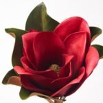 Real Touch Christmas Red Large Magnolia Bloom Faux Floral Stem Spray - 24 - Image 2