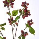 Lifelike Mauve Burgundy Raspberry Cluster Stem Faux Fruit Spray - 42 - Image 2