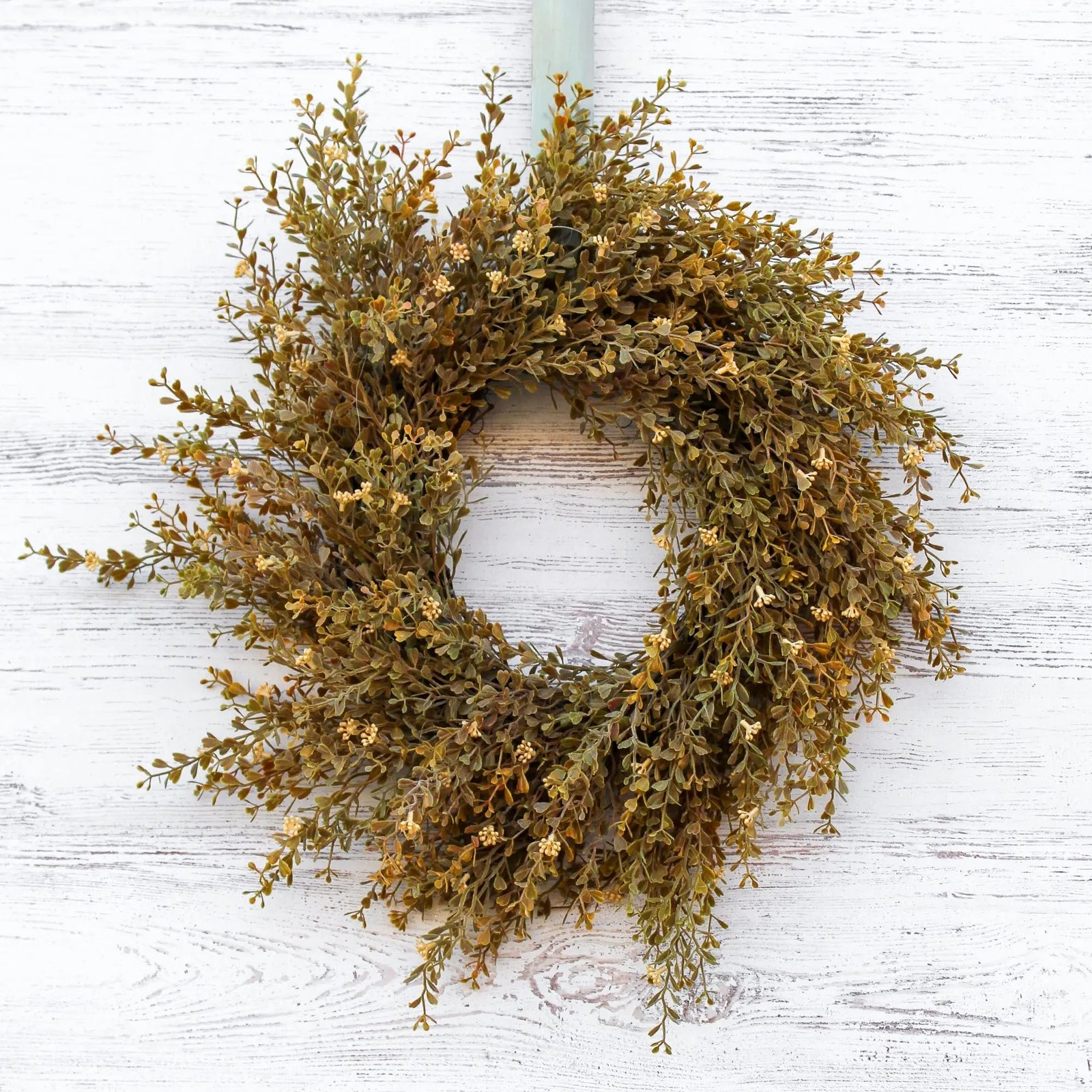 Fall_Wheat_Seeding_Boxwood_Mini_Candle_Wreath_Centerpiec_MCW_1020-5 Fall Wheat Seeding Boxwood Mini Wreath or Candle Wreath Centerpiece - Image 1