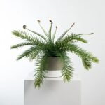 Faux Cycas Fern Artificial Houseplant  in Two-Tone Concrete Pot
