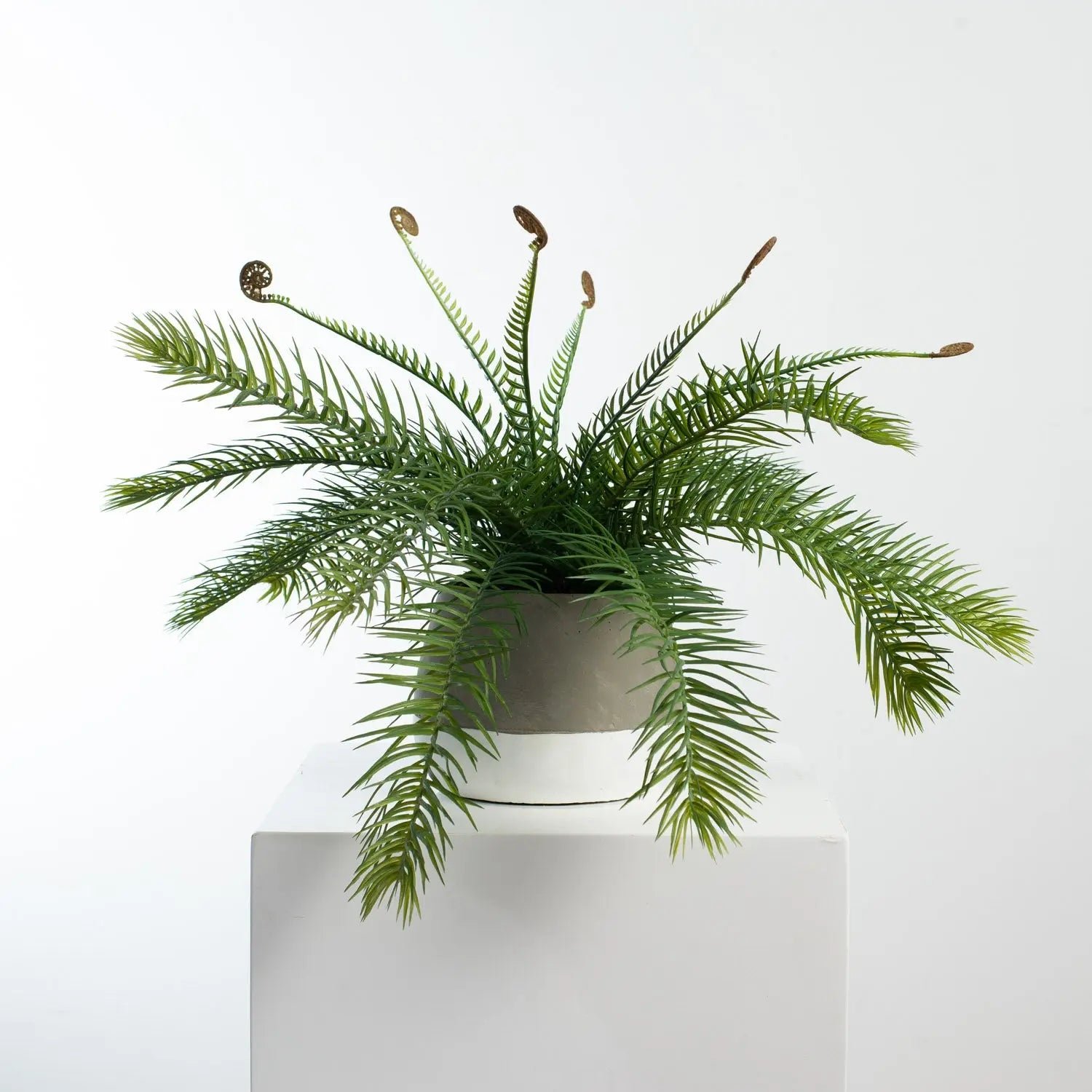 FauxCycasFernArtificialHouseplantinTwo-ToneConcretePotAR1276 Faux Cycas Fern Artificial Houseplant in Two-Tone Concrete Pot - Image 1