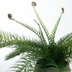 Faux Cycas Fern Artificial Houseplant  in Two-Tone Concrete Pot - Image 2