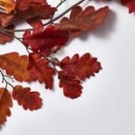 Burgundy Red Autumn Oak Leaf & Faux Acorns Fall Table Runner Mantel Garland - Image 2