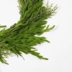 Deluxe Real Touch Winter Greenery with Cypress, Norfolk & Pine Christmas Mantel Garland Holiday Table Runner - Image 2