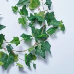 All Seasons Faux English Ivy Leaf Mantel Garland Everyday Greenery Table Runner - Image 2