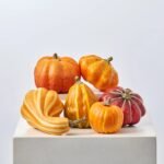 Assorted Set of 6 Medium Orange Pumpkin & Gourd Classic Fall Thanksgiving Home Decor
