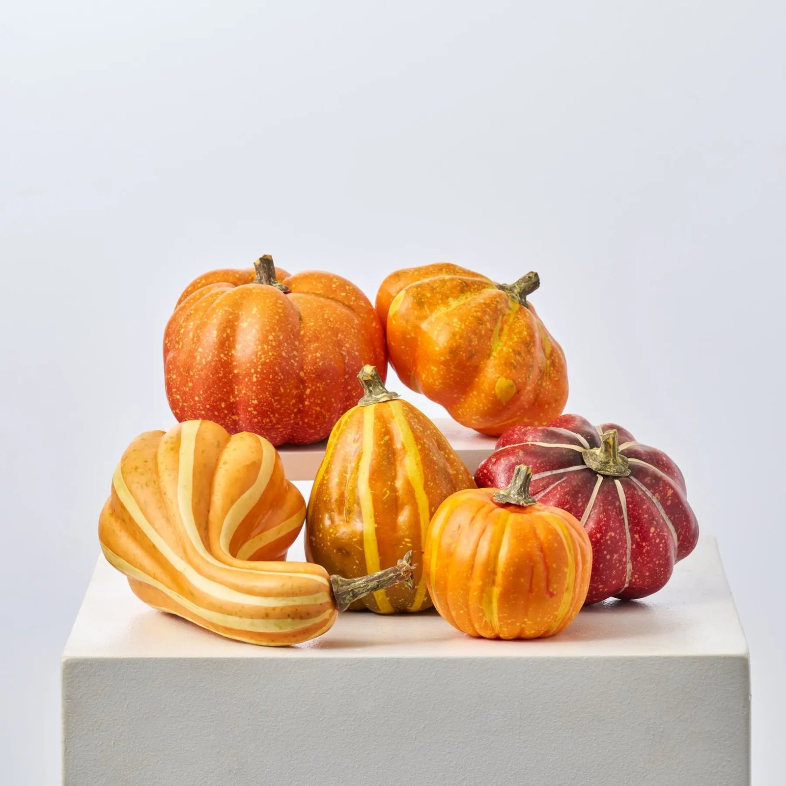 HMD1705MediumOrangePumpkinsClassicFallThanksgivingHomeDecorAssortedSetof6 Assorted Set of 6 Medium Orange Pumpkin & Gourd Classic Fall Thanksgiving Home Decor - Image 1