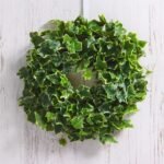 Variegated Real Touch English Ivy Mini Wreath or Candle Wreath Centerpiece - Image 2