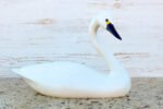 Hand Carved Alert White Swan Decorative Wooden Duck Decoy - Image 2