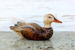 Hand Carved Blue Winged Teal Premier Hen Decorative Wooden Duck Decoy - Image 5