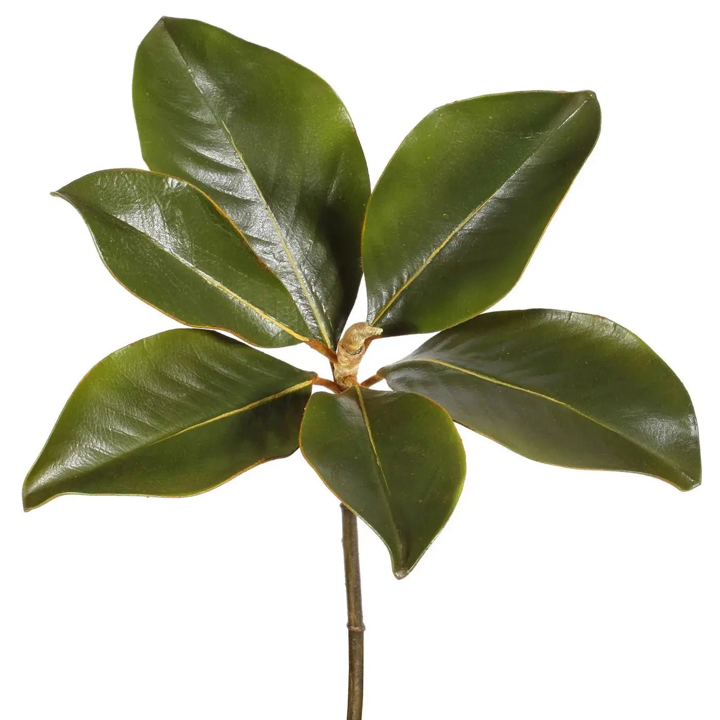 Magnoliapick Real Touch Classic Magnolia Leaf Pick Stem - 14 - Image 1