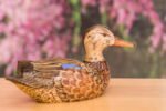 Hand Carved Blue Winged Teal Premier Hen Decorative Wooden Duck Decoy - Image 2