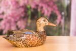 Hand Carved Blue Winged Teal Premier Hen Decorative Wooden Duck Decoy - Image 4