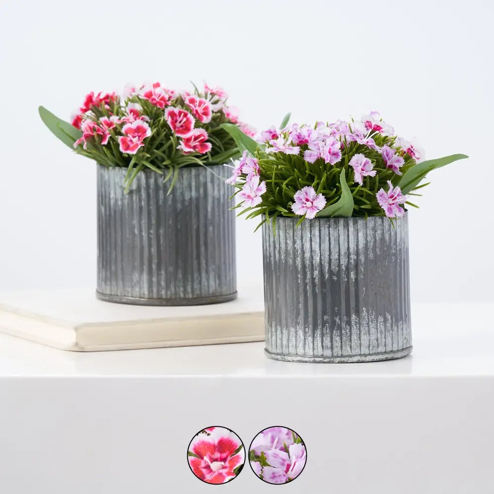 RealTouchMiniDianthusWildflowersinGalvanizedMetalTin-2Colorsswatch Real Touch Mini Dianthus Wildflowers in Galvanized Metal Tin - 2 Colors - Image 1