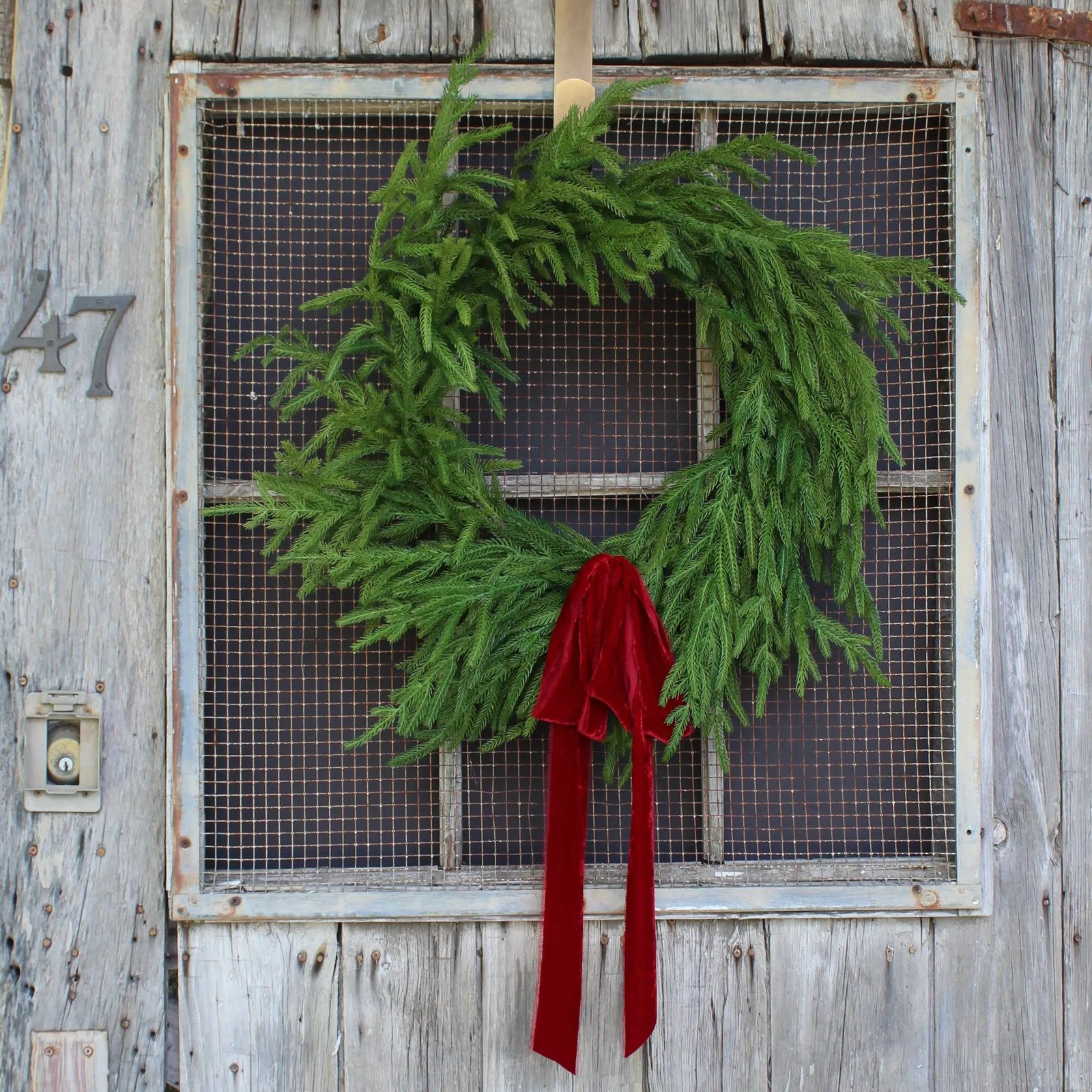 RealTouchNorfolkPineFrontDoorChristmasHolidayWinterWreath7 Norfolk Collection - Real Touch Norfolk Pine Front Door Christmas Holiday Winter Wreath - 2 Size Options Available - Image 1