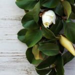 Real Touch White Magnolia All Seasons Teardrop Front Door Swag - Image 8