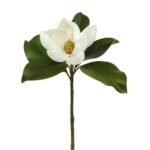 Real Touch Small Magnolia Bloom 24 Single Stem or Bundle of 3