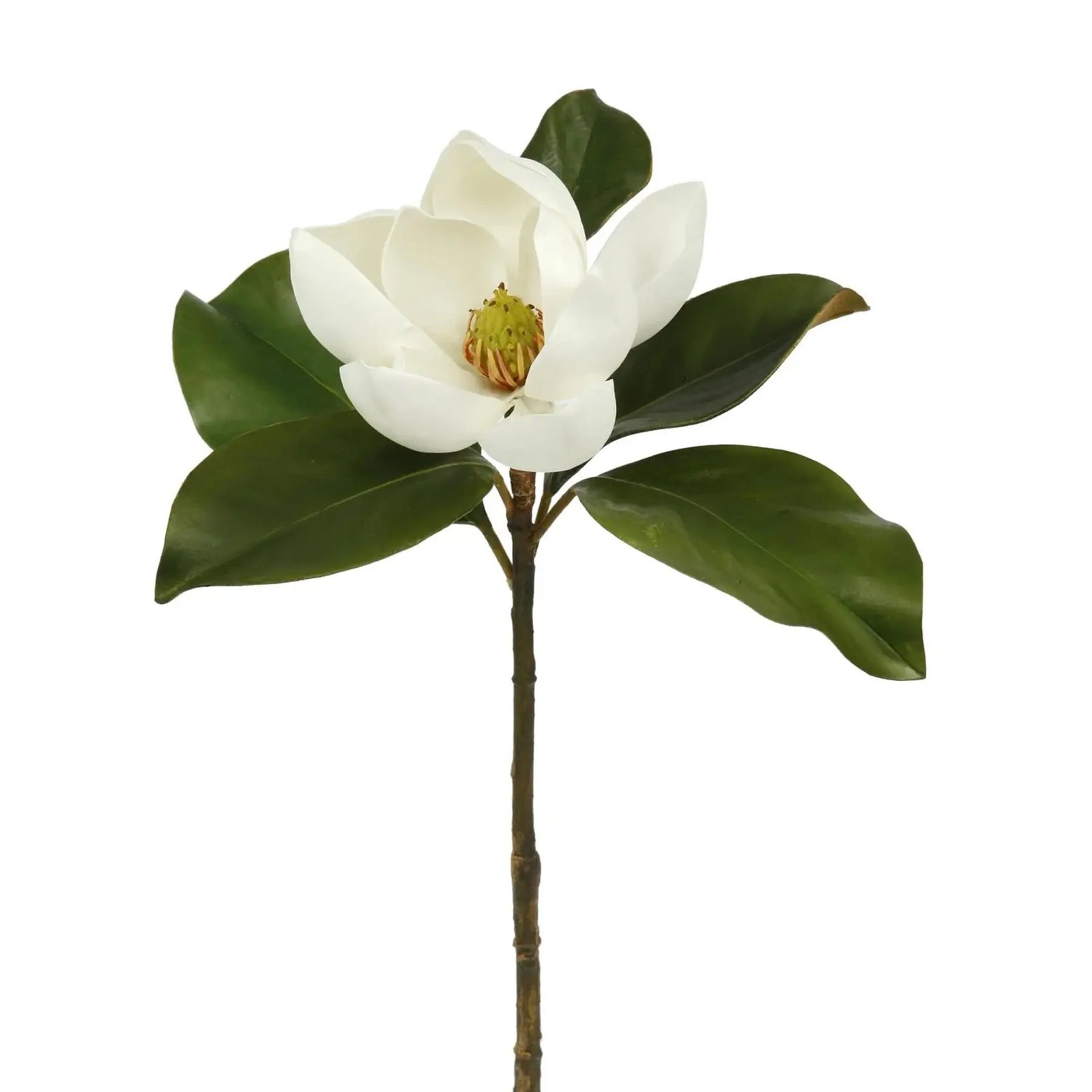 Real_Touch_Small_Magnolia_Bloom_24__Single_Stem_or_Bundle_of_3_square Real Touch Small Magnolia Bloom 24 Single Stem or Bundle of 3 - Image 1