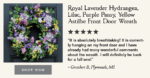 Royal Lavender Hydrangea, Lilac, Purple Pansy, Yellow Astilbe Spring Door Wreath - Image 9