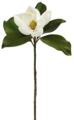Real Touch Small Magnolia Bloom 24 Single Stem or Bundle of 3 - Image 3